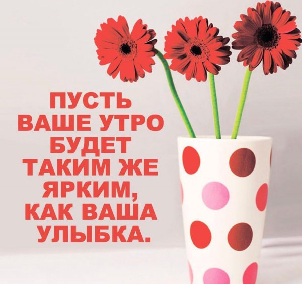 Пусть ваше утро будет добрым