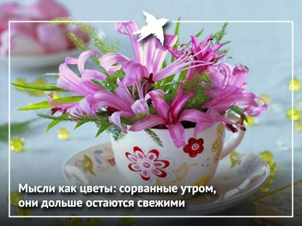 Доброе утро пусть