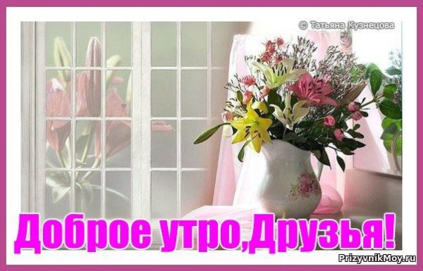 Летающие коты