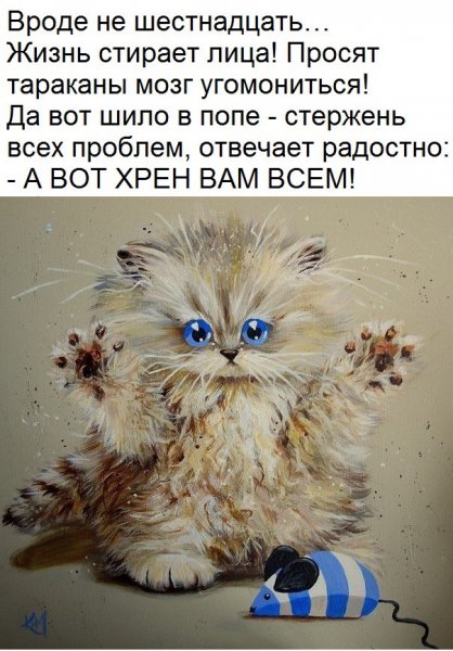 Бодрое утро Страна