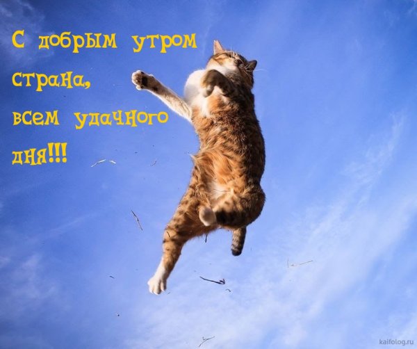 Бодрое утро Страна