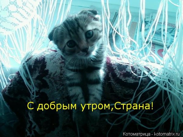 Доброе утро Страна