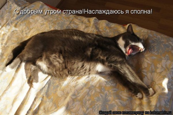 Бодрое утро Страна