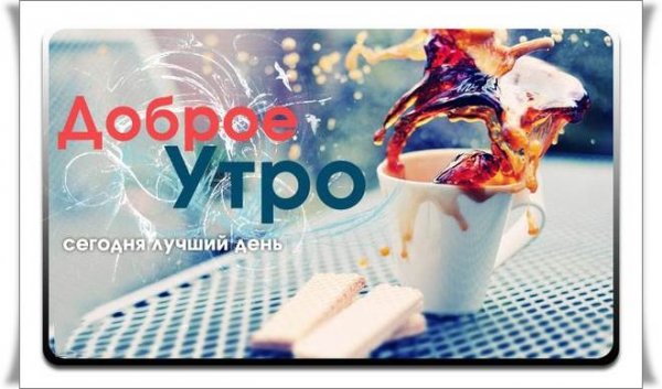 Открытки с добрым утром команда