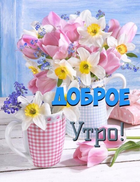 Самые красивые цветы с добрым утром