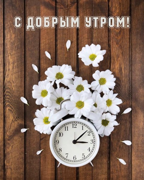 Открытки с добрым утром