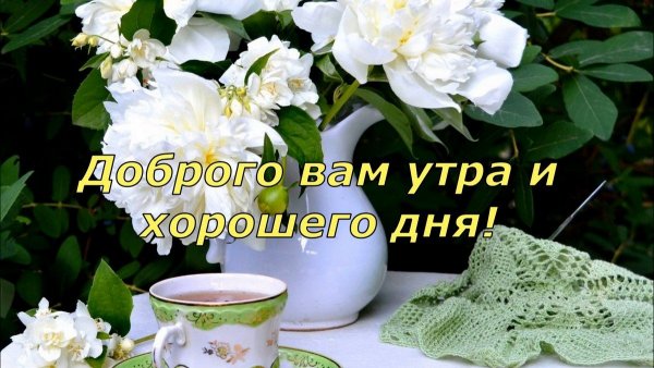 Удачного начала дня