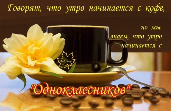 Доброе утро отличного дня