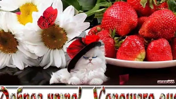 Открытки с добрым утром прикольные