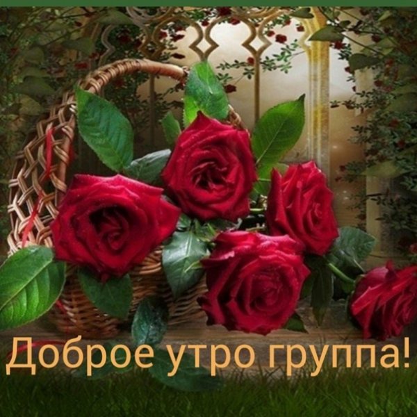 Утро доброе начинается