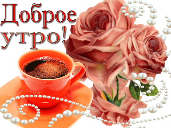 Открытки с добрым утром с котиками