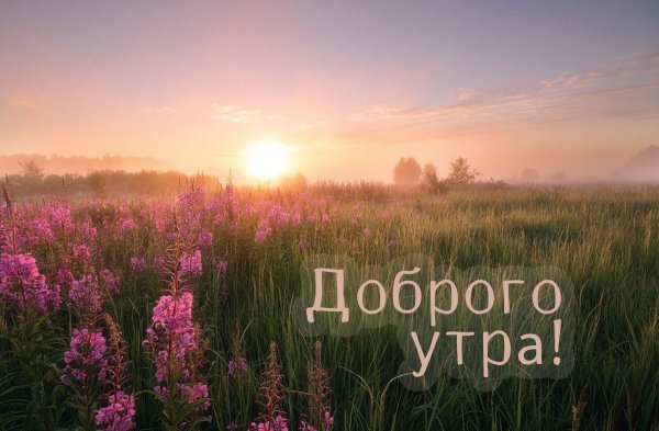 Рассвет в поле