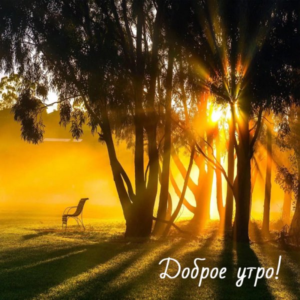 Доброе раннее утро