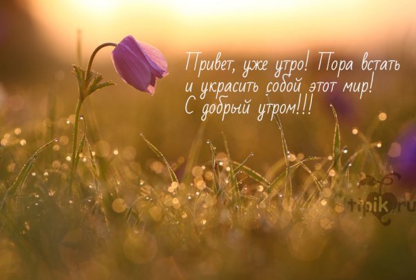 Доброе утро природа с надписью