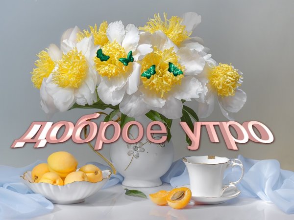 Приветствие с добрым утром