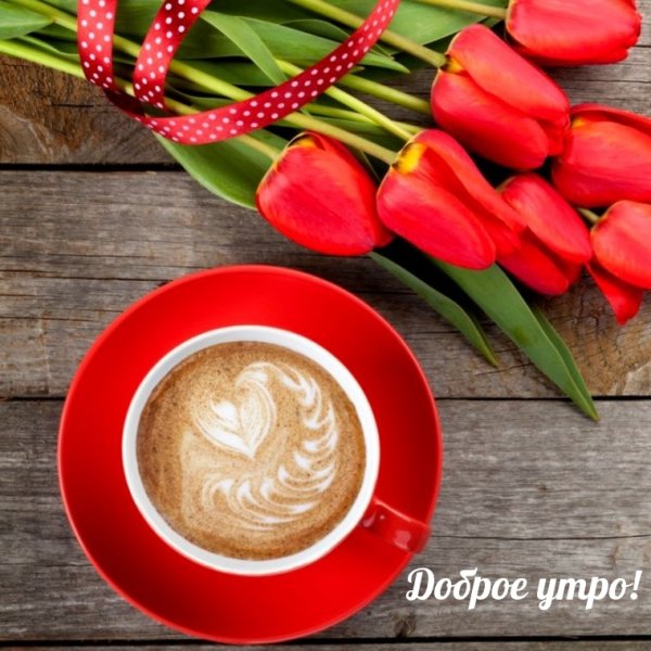 Доброе утро спасибо