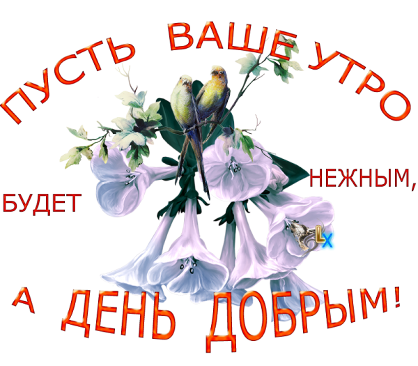 Спасибо и вам доброго утра