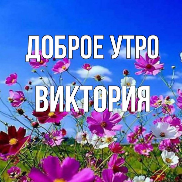 Доброе утро спасибо