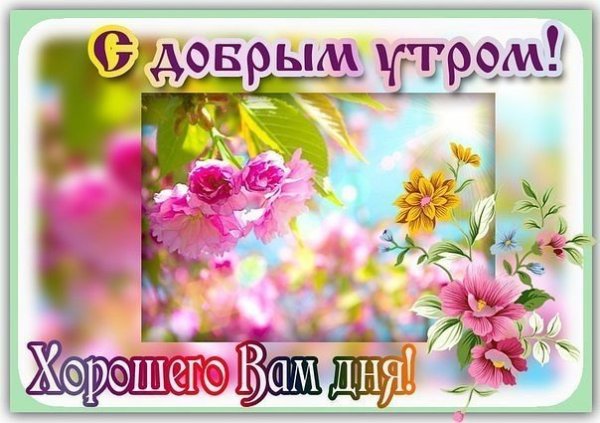 Спасибо с добрым утром