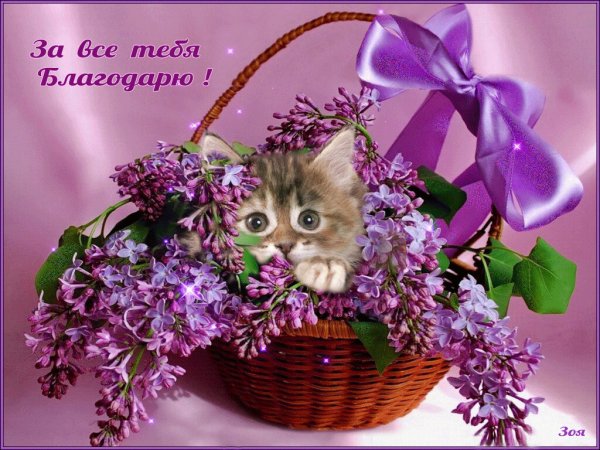 Красивые открытки