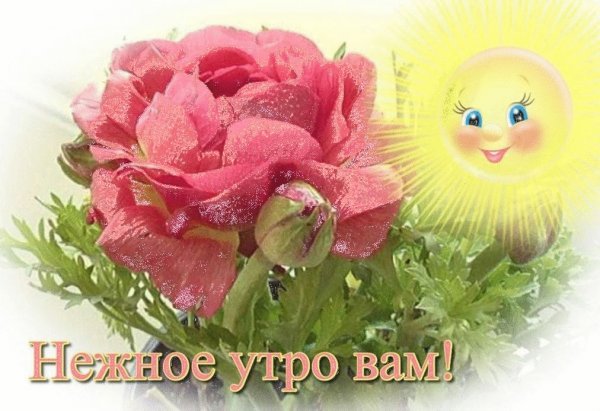 Открытки желаю вам доброго утра