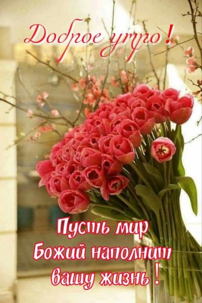 Красивый букет цветов для настроения