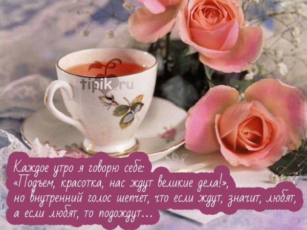 Открытка доброе утро красавица