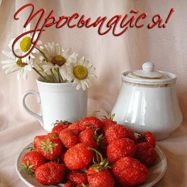 Доброе утро