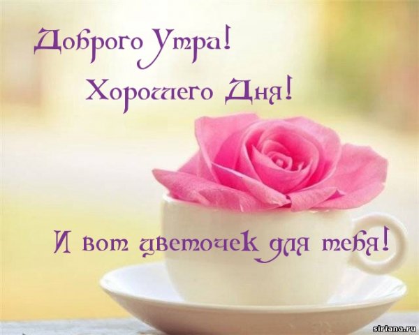 Пожелания с добрым утром девушке