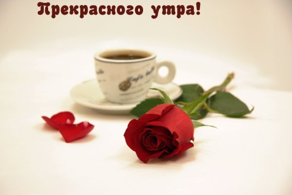 Прекрасного утра