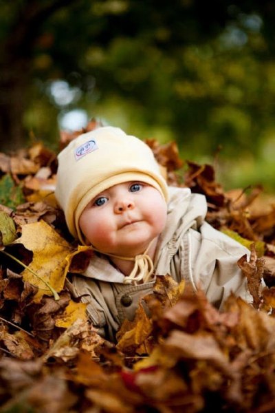 Красивые детки осенью