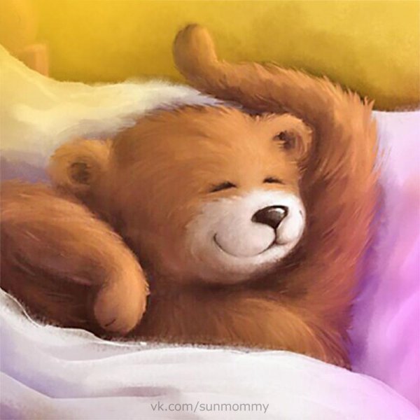 Доброе утро, Медвежонок!