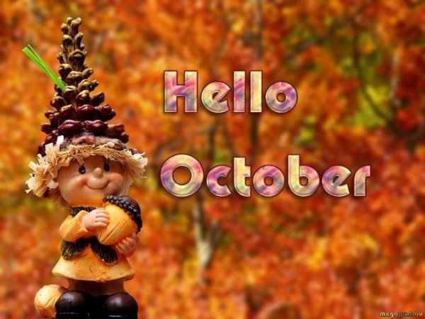 Hello октябрь