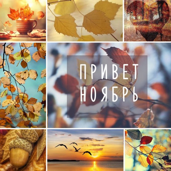 Прощай октябрь привет ноябрь