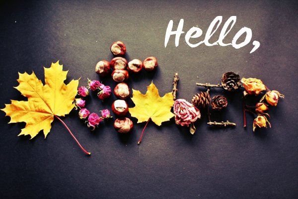 Hello октябрь