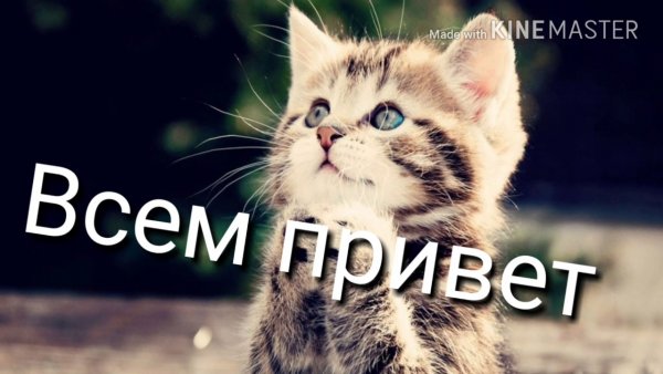 Надпись всем привет