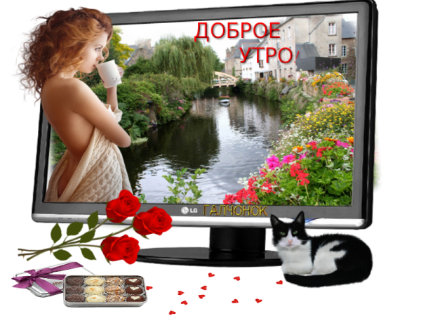 Галчонок открытки с добрым утром