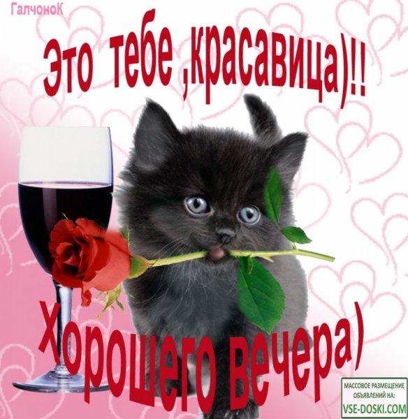 Хорошего вечера красавица