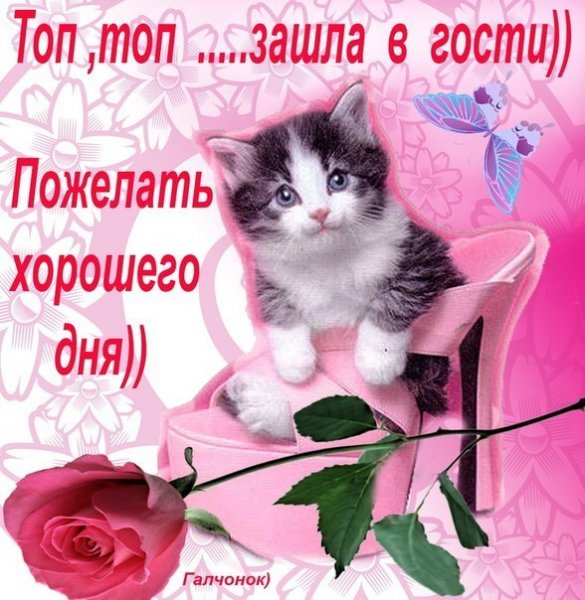 Пожелания хорошего дня подруге