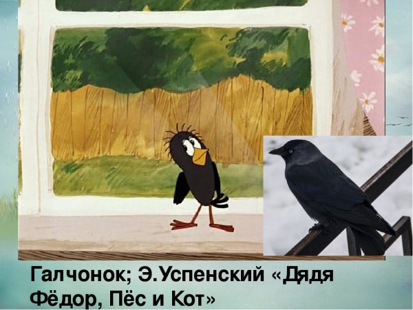 Галчонок рисунок