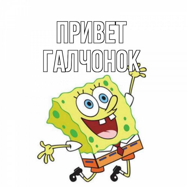 Галчонок из Простоквашино фото