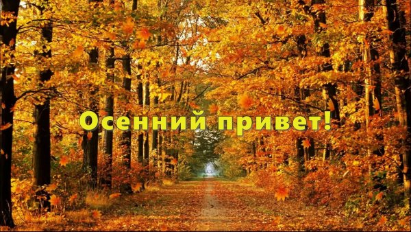Привет, осень!