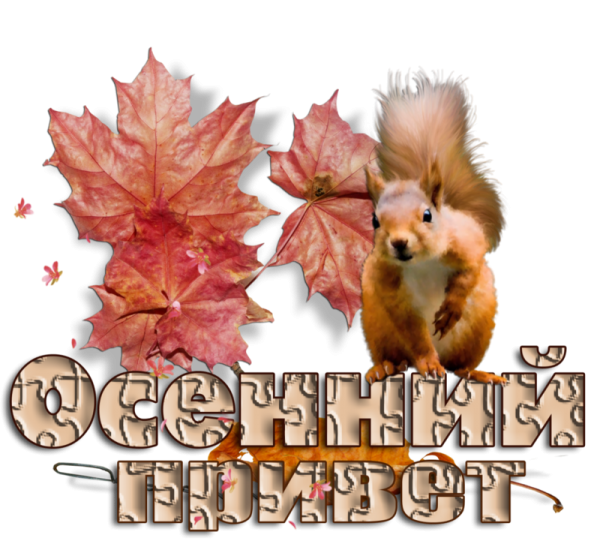 С первым днем осени