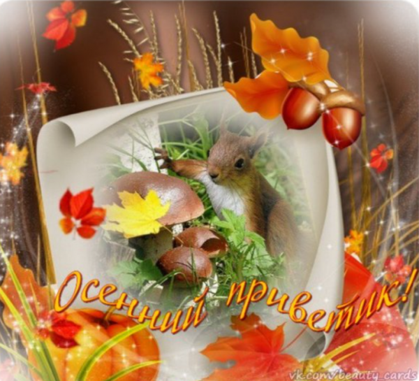 Осенний приветик
