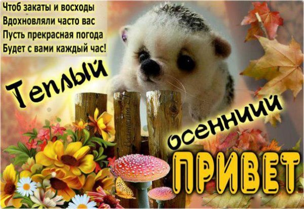 Осенний привет с пожеланиями