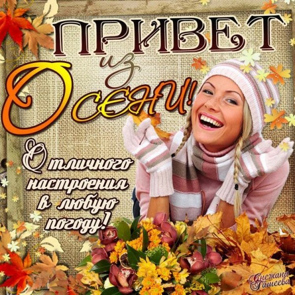 Привет хорошего дня