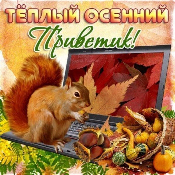 Осенний привет от меня