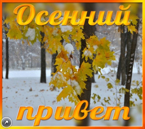 Открытки осенний приветик от меня