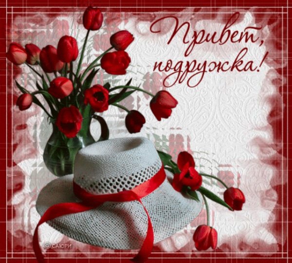 Открытки с приветом подруге