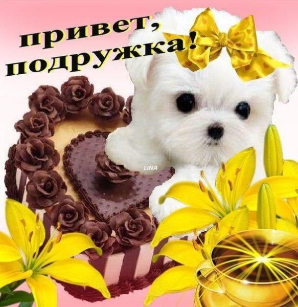 Привет подруга